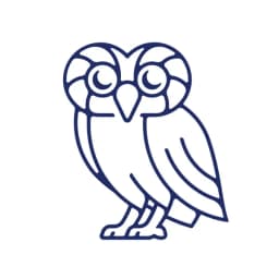 Rice Merit Scholarships